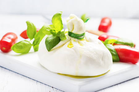 Italian burrata cheese with basil onion olive oil on white   plate on light background. Selective focus, free text space.の写真素材