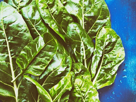 Fresh chard leaves,backgroundの写真素材