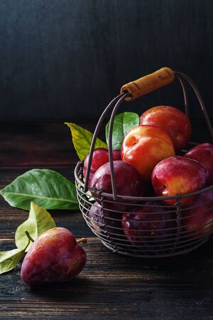 Ripe plums with green leaves in metal basket on black rustic background.の写真素材