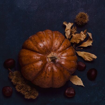Fall pumpkin with leaves and chestnuts.の写真素材