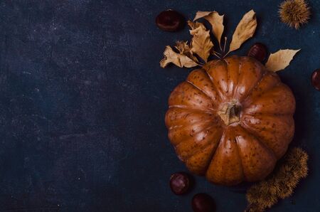 Fall pumpkin with leaves and chestnutsの写真素材