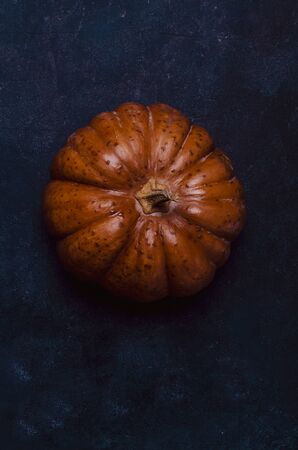 Fall pumpkin on blue tableの写真素材