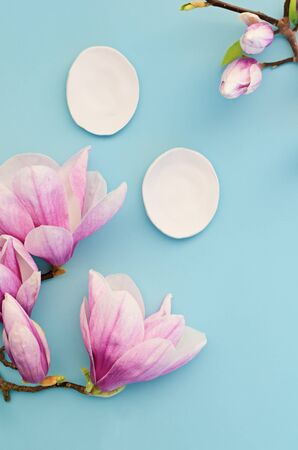 Beauty background for cosmetic products and magnolia blossom on pastel blue background. Spring skin care plan, top view, flat lay. Cosmetics and skin care concept.の写真素材