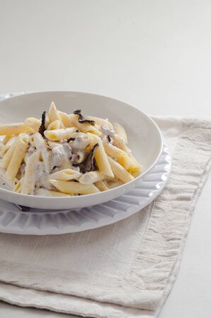 Penne alla norcina - Italian  pasta with  cream sauce and black truffle in white plate, free text space.の写真素材