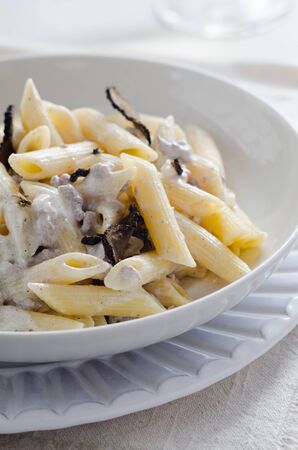 Penne alla norcina - Italian  pasta with  cream sauce and black truffle in white plate, free text space.の写真素材