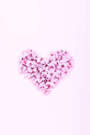 Spring flowers in heart shape on pink paper for valentine's, Mothers day concept.の写真素材