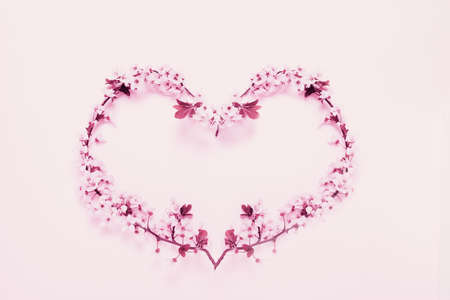 Spring flowers in heart shape on pink paper for valentine's, Mothers day concept.の写真素材