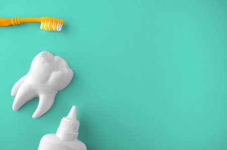 Flat lay composition with oral care products. Tooth model, teethbrush and bottle of tongue cleaner on mint background. Teeth hygiene and dental care concept. Banner with copyspace.の写真素材