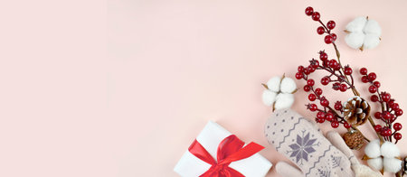 Christmas decoration with red berries, mittens and gift box on pastel background. Eco friendly...