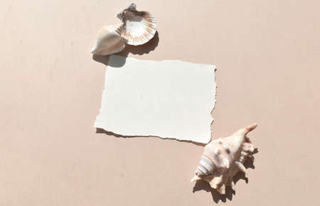 Summer sunlight still life mock up composition. Blank invitation card with sea shells on beige background. Mockup greeting card, empty blank for wedding invitation or business. Harsh shadowsの写真素材
