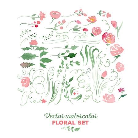 Set of floral elements のイラスト素材