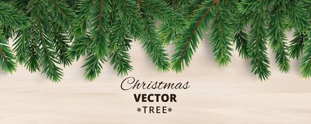 Banner with vector christmas tree branches on wooden background.のイラスト素材