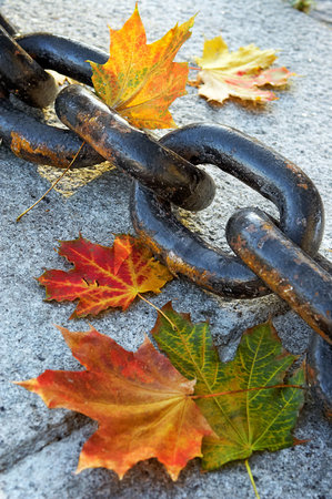  of fading autumn and rusty chain