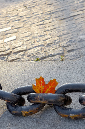  of fading autumn and rusty chainの写真素材