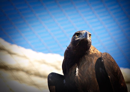 Oppressive feeling from sensation not freedomの写真素材