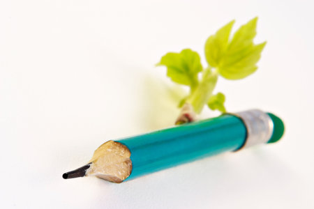 Second life of a pencil-spring inspirationの写真素材