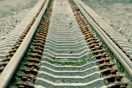 On the thrown railway the grass growsの写真素材