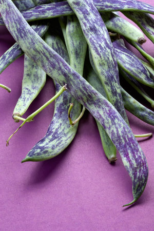 Large multi-coloured pods of a string bean