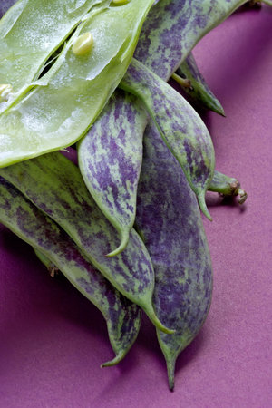 Large multi-coloured pods of a string beanの写真素材