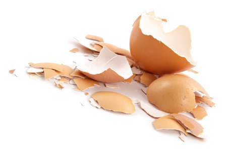 Chips of the crushed egg shell-concept of wreck and crash