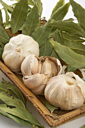 Heads of garlic and a laurel leaf-spicy of seasoning for preparation juicy entertainmentsの写真素材