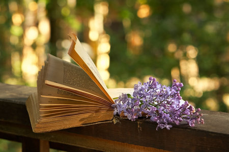 Romantic evening in the country house-sunset,  book of poetry and  lilac branchの写真素材