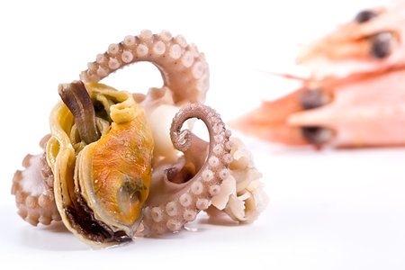 delicatessen seafoods--octopuses, mussels, shrimps on white backgroundの写真素材