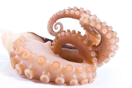 delicatessen octopus meat isolated on the white backgroundの写真素材