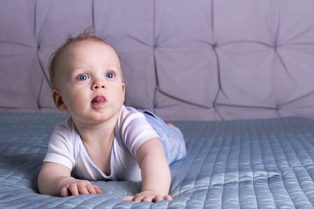 Cute baby boy lying on the bed. Crawling infant kid indoor shot. Copy spaceの写真素材