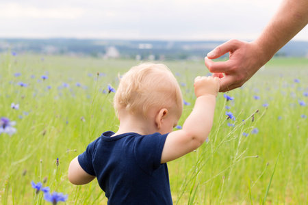 Follow me. Little boy walking in the field of knapweeds. Concept.