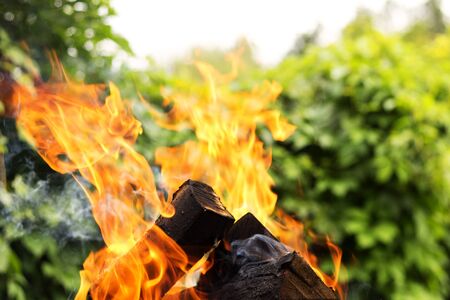Burning firewoods against nature background. Close up shot.の写真素材