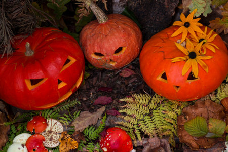 Halloween pumpkin head jack. Copy space. Concept