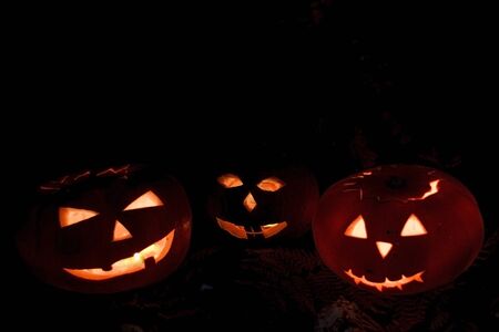Scary Halloween pumpkins isolated on a black background. Scary glowing faces trick or treatの写真素材