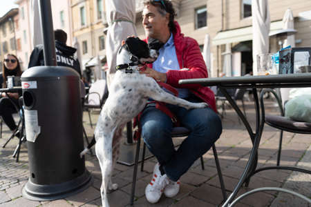 OCTOBER 30, 2020 - BRESCIA, ITALY: Beautiful dog english pointer with leash plays with his master.のeditorial素材