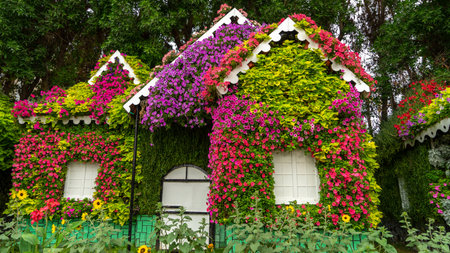Decorative flowerpots in the form of houses made of pink red, purple petunia flowers in miracle garden in Dubai, United Arab Emirates.の写真素材