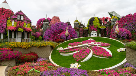 Decorative composition in the form of clocks, peacocks and fairy-tale houses made of live pink, purple and red petunia flowers in miracle garden in Dubai, United Arab Emirates.の写真素材