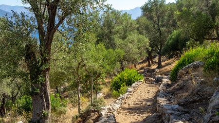 Walking path in ancient city Amos near town or village of Turunc, Turkey. It was located in Rhodian Peraia in Caria on Mediterranean coast.の写真素材