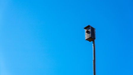 Wooden handmade birdhouse on a pole or stick with a sparrow perched against a blue cloudless sky background. Place for nest, springtime decoration, hanging home, ecology birdbox for birds.の写真素材