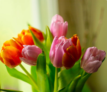 Bouquet of flowersの写真素材