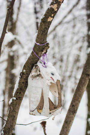 Handmade bird feeder hanging on a tree in the winter forestの写真素材