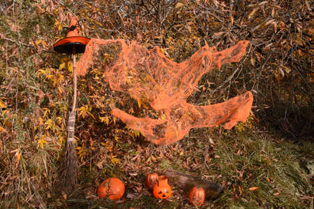Halloween background with pumpkins and cobwebs in the forestの写真素材
