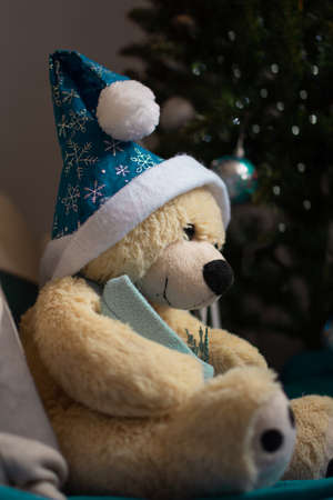 Cute teddy bear in Santa Claus hat sitting near Christmas treeの写真素材