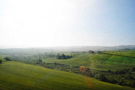 View on italian fields in countryside Apulia