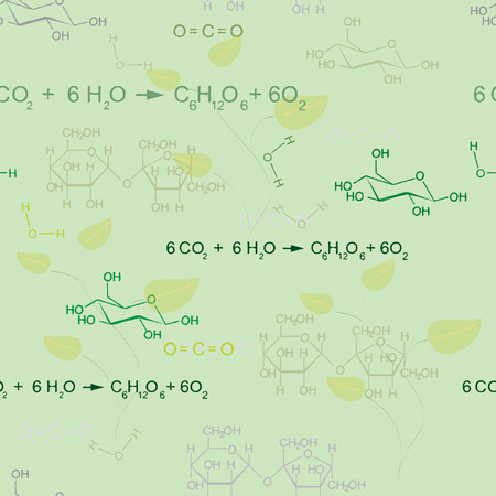 Seamless vector pattern with photosynthesis equationのイラスト素材