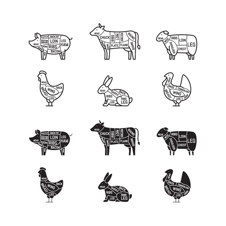 Diagrams for butcher shop. Meat cuts. Animal silhouette, pig, cow, lamb, chicken, turkey, rabbit. Vector illustration.のイラスト素材
