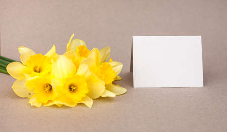 A white sheet of paper next to a bouquet of yellow daffodils. Bouquet of flowers on a beige background. Space for text. mockup. International Women's Day, March 8, Happy Easter. greeting card.の写真素材
