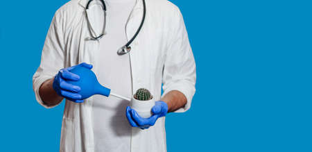 A male doctor holds an enema and a cactus. The concept is the treatment of hemorrhoids, medical care. banner. close up. A place for text. isolate. medicine. Doctor in a white coat on a blue backgroundの写真素材