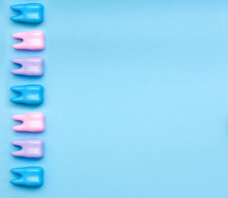 Colored tooth models on a blue background. Flat lay, top view.の写真素材