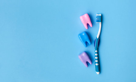 Three multi-colored models of teeth on a blue background. Toothbrush. Place for text. Banner. Flat lay. Lay out. Mock up. Dental health concept. Oral health and dental examination.の写真素材