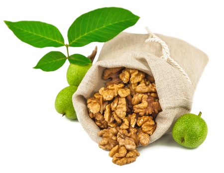 Macro view of purified walnut in flax sack and green walnut fruit isolated on white backgroundの写真素材